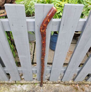 RUSTICK IRISH BLACKTHORN WALKING STICK 569EW