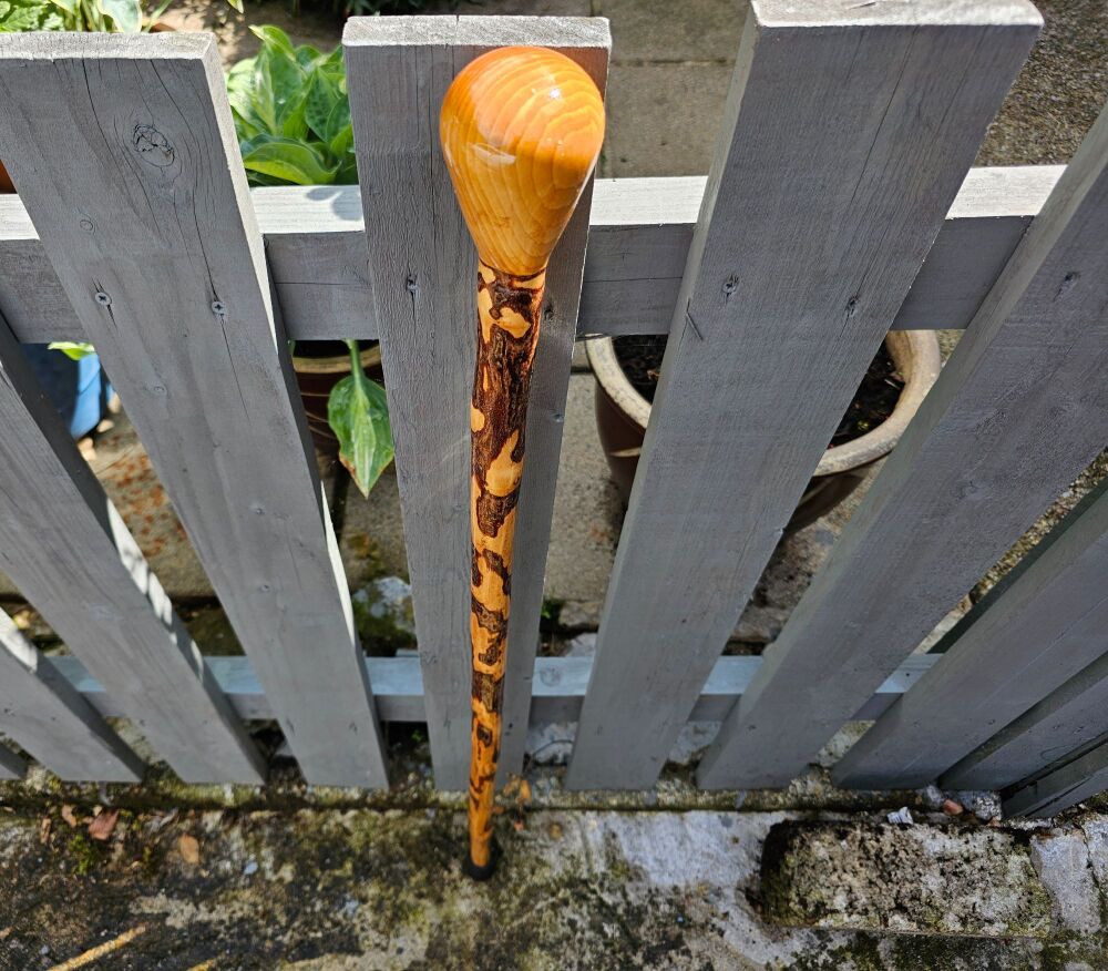 IRISH SILVER BIRCH WALKING STICK 570EW