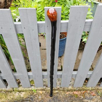 HEAVY IRISH BLACKTHORN WALKING STICK 577EW