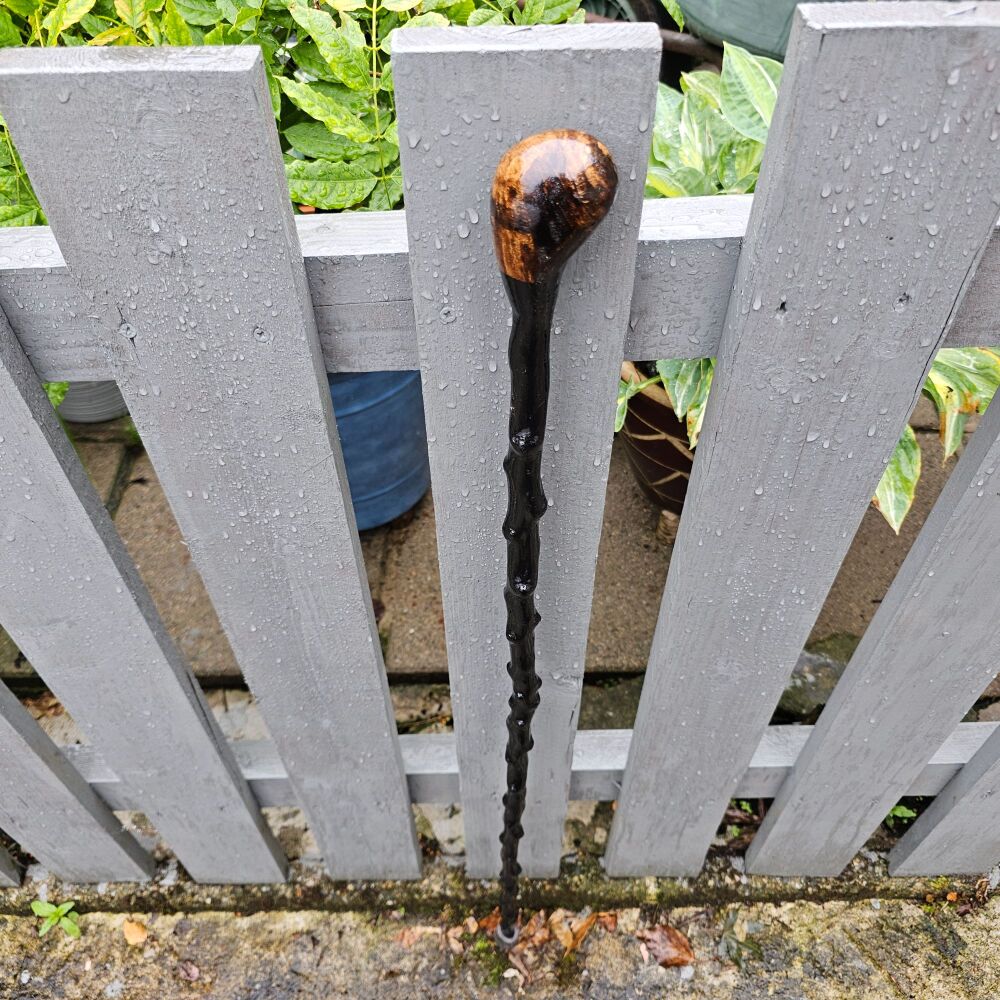A LIGHTWEIGHT IRISH BLACKTHORN DOG WALKING STICK 580EW