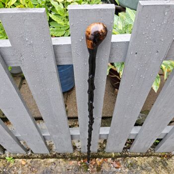 A LIGHTWEIGHT IRISH BLACKTHORN DOG WALKING STICK 580EW