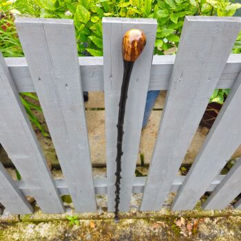 A LIGHT WEIGHT IRISH BLACKTHORN WALKING STICK 584EW