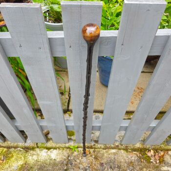 LIGHT WEIGHT IRISH BLACKTHORN WALKING STICK 585EW