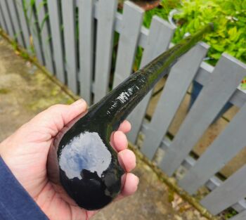 HEAVY IRISH BLACKTHORN WALIKING STICK 588EW