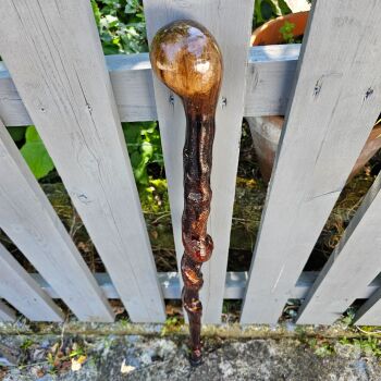 A RARE IRISH TWISTY BLACKTHORN WITH AN IRISH OAK HANDLE 589LF