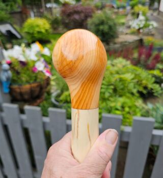IRISH SILVER BIRCH WALKING STICK WITH AN IRISH YEW HANDLE 591AL