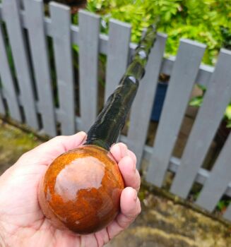 50 INCH IRISH BLACKTHORN HIKING STAFF 590EW