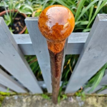 A BIG HEAVY 40 INCH IRISH BLACKTHORN WALKING STICK WITH A WILD IRISH CRAB APPLE HANDLE 593EW