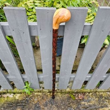 IRISH BLACKTHORN WALKING STICK WITH AN IRISH YEW HANDLE 594AL