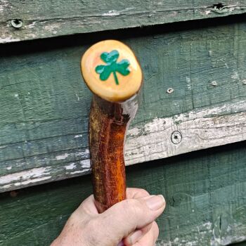 EXTRA LONG THORNY IRISH BLACKTHORN WALKING STICK 708EW