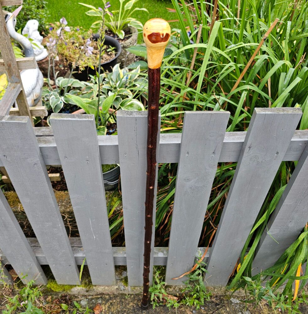 46 INCH IRISH BLACKTHORN HIKING STICK WITH AN IRISH YEW HANDLE 713EW