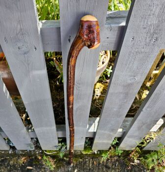 IRISH BLACKTHORN WALKING STICK 718EW