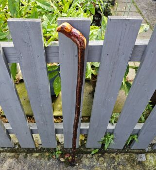 IRISH BLACKTHORN WALKING STICK 719EW