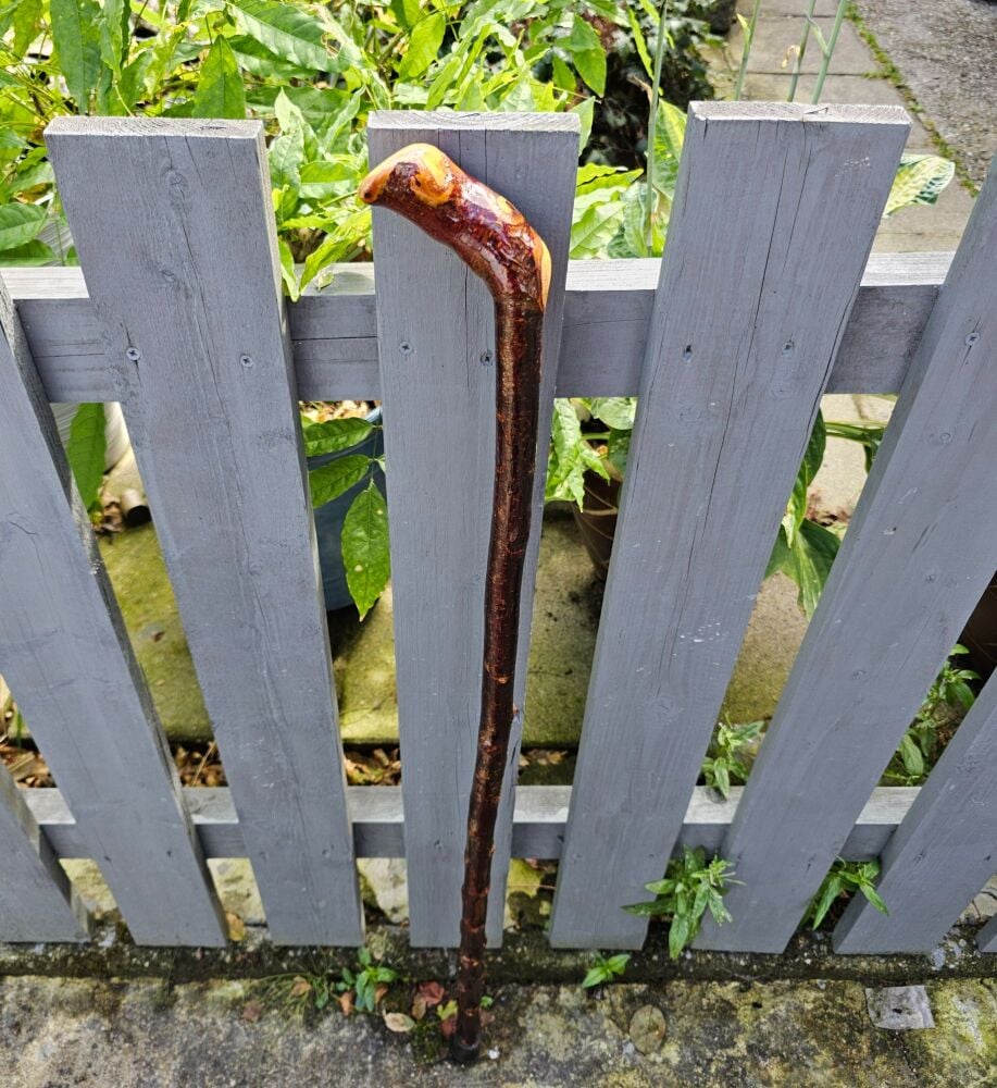 IRISH BLACKTHORN WALKING STICK 719EW