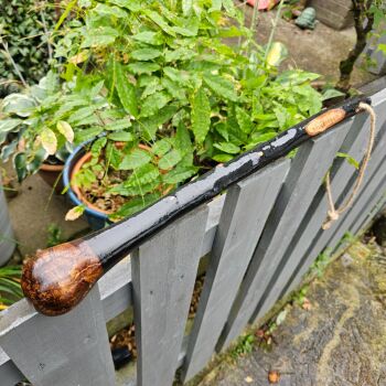 IRISH BLACKTHORN MINI SHILLELAGH 721EW