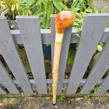 IRISH SILVER BIRCH WALKING STICK WITH AN IRISH CRAB APPLE HANDLE 722EW