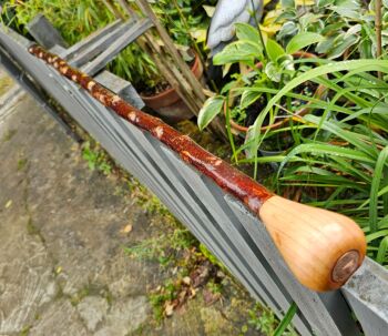 IRISH BLACKTHORN WALKING STICK WITH A BEECH HANDLE AND AN OLD IRISH EMBEDDED COIN 725EW