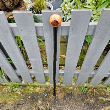 CLASSIC IRISH BLACKTHORN WALKING STICK 732EW