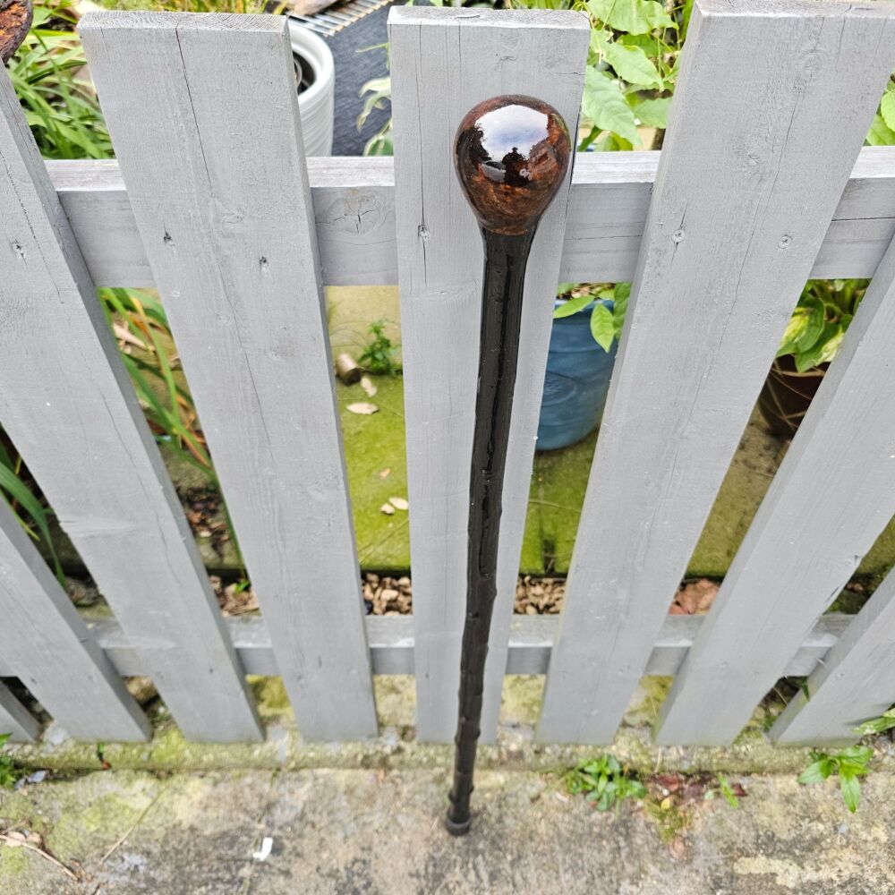 IRISH BLACKTHORN WALKING STICK 735EW
