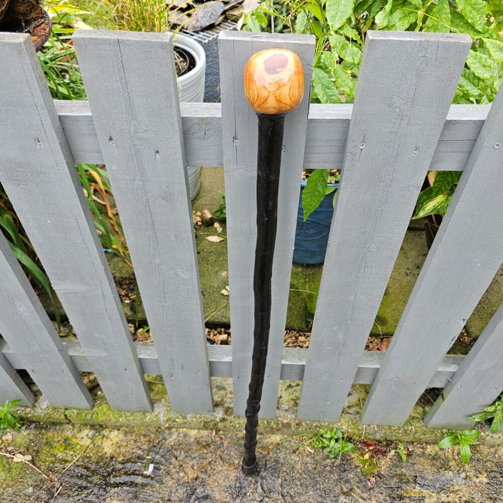 CLASSIC IRISH BLACKTHORN WALKING STICK 735EW