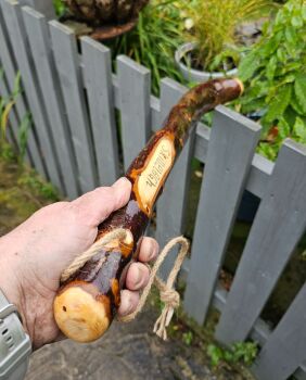 A HEAVY IRISH BLACKTHORN CUDGEL/SHILLELAGH 736EW
