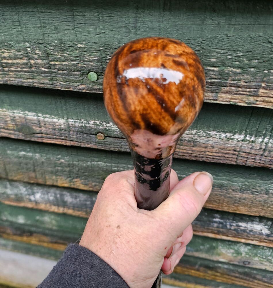 IRISH BLACKTHORN WALKING STICK 737EW
