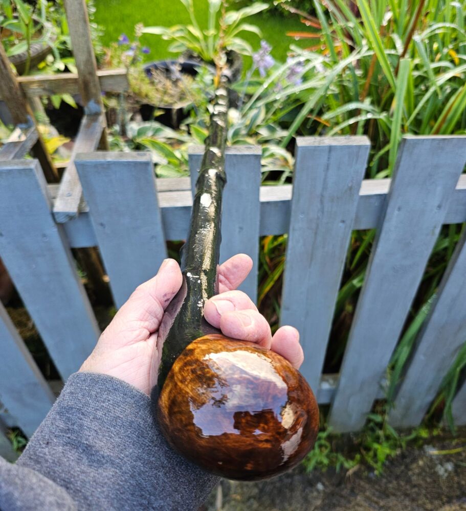 A STUNNING IRISH CLASSIC BLACKTHORN WALKING STICK 741AL