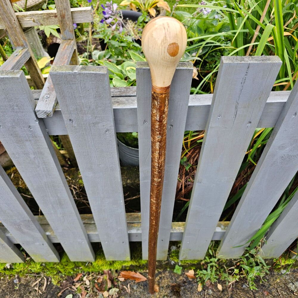 IRISH HAZEL WALKING STICK WITH AN IRISH OAK HANDLE WITH A BLACKTHORN SPACER
