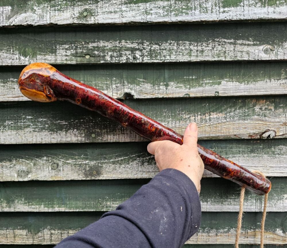 IRISH BLACKTHORN CUDGEL 19 INCHES LONG