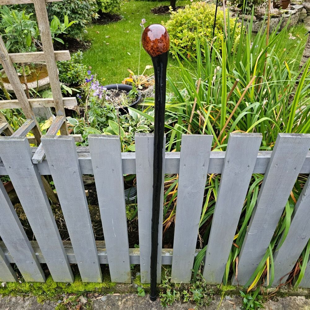 51 INCH IRISH BLACKTHORN WALKING/HIKING STICK 578EW