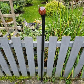 51 INCH IRISH BLACKTHORN WALKING/HIKING STICK 578EW
