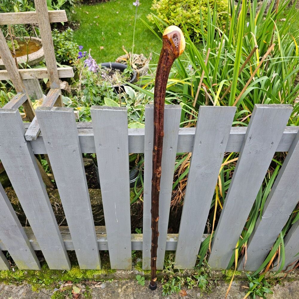 46 INCH IRISH BLACKTHORN WALKING/HIKING STICK 581EW