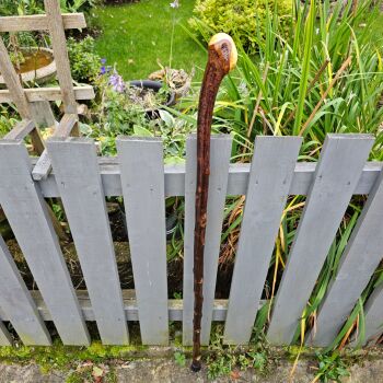 46 INCH IRISH BLACKTHORN WALKING/HIKING STICK 581EW