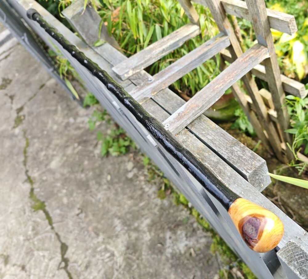 CLASSIC IRISH BLACKTHORN WALKING STICK 583EW