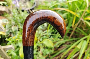 IRISH BLACKTHORN WALKING STICK 582EW