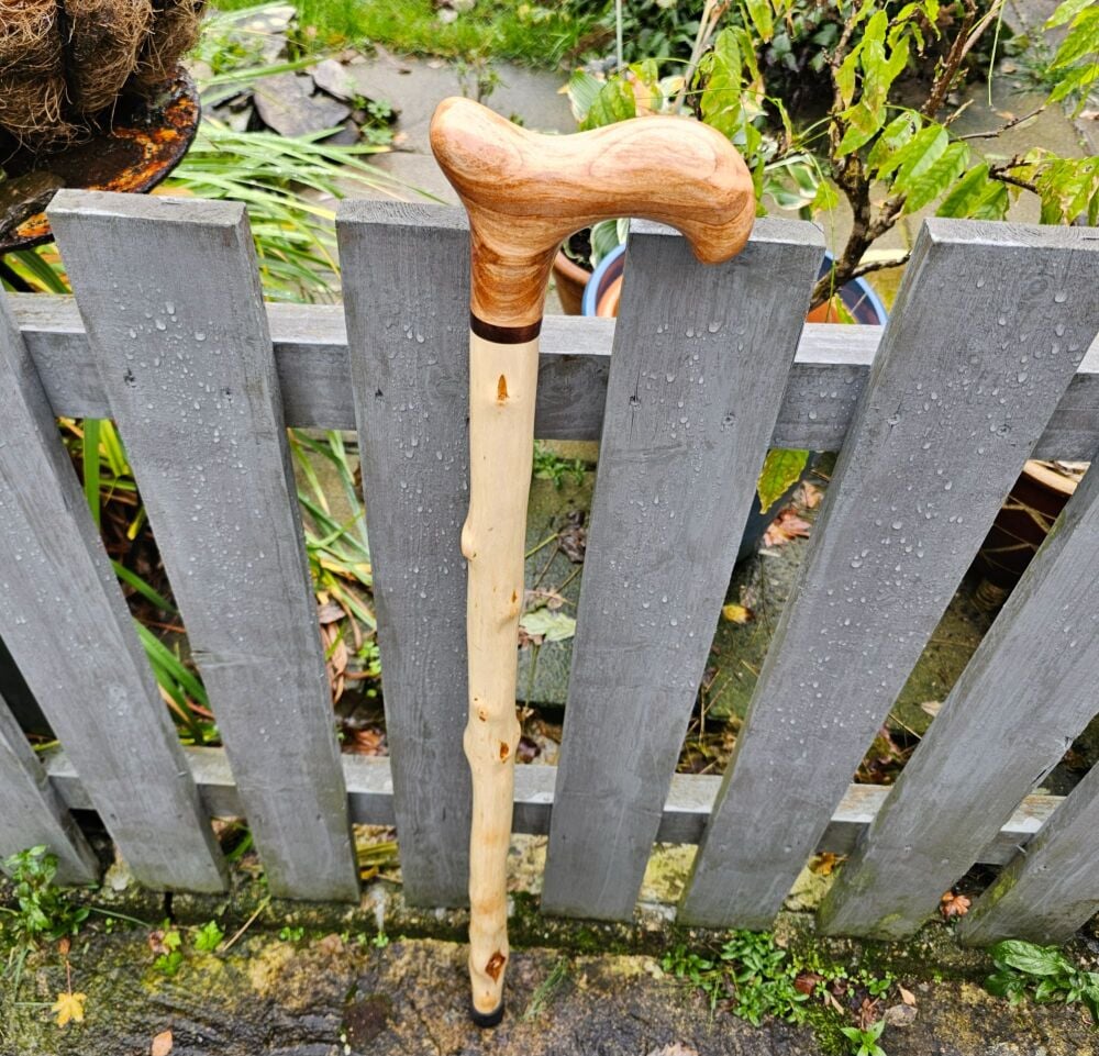 Irish silver birch walking stick with a chilean beech handle 584al