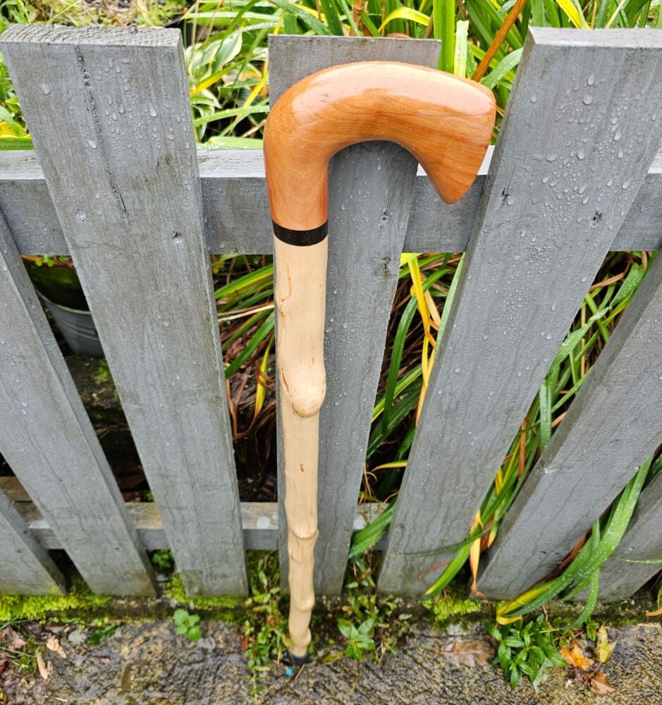 Irish silver birch walking stick with a chilean beech handle 585 al