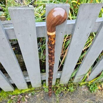 Rare heavy Irish blackthorn walking stick with a black walnut handle and an Irish birch burr spacer 586al