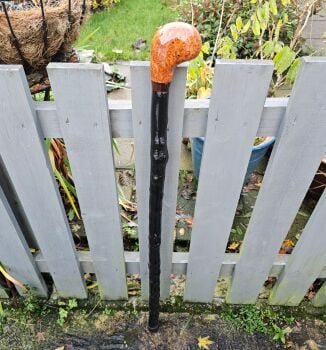 40 INCH HEAVY IRISH BLACKTHORN WALKING STICK WITH A BURL ELM HANDLE OUTSTANDING BLACKTHORN 590EW