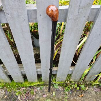 CLASSIC IRISH BLACKTHORN WALKING STICK 591EW