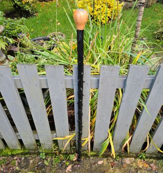 A THORNY IRISH BLACKTHORN HIKING STICK WITH AN OLD IRISH COIN EMBEDDED IN THE HANDLE 594EW