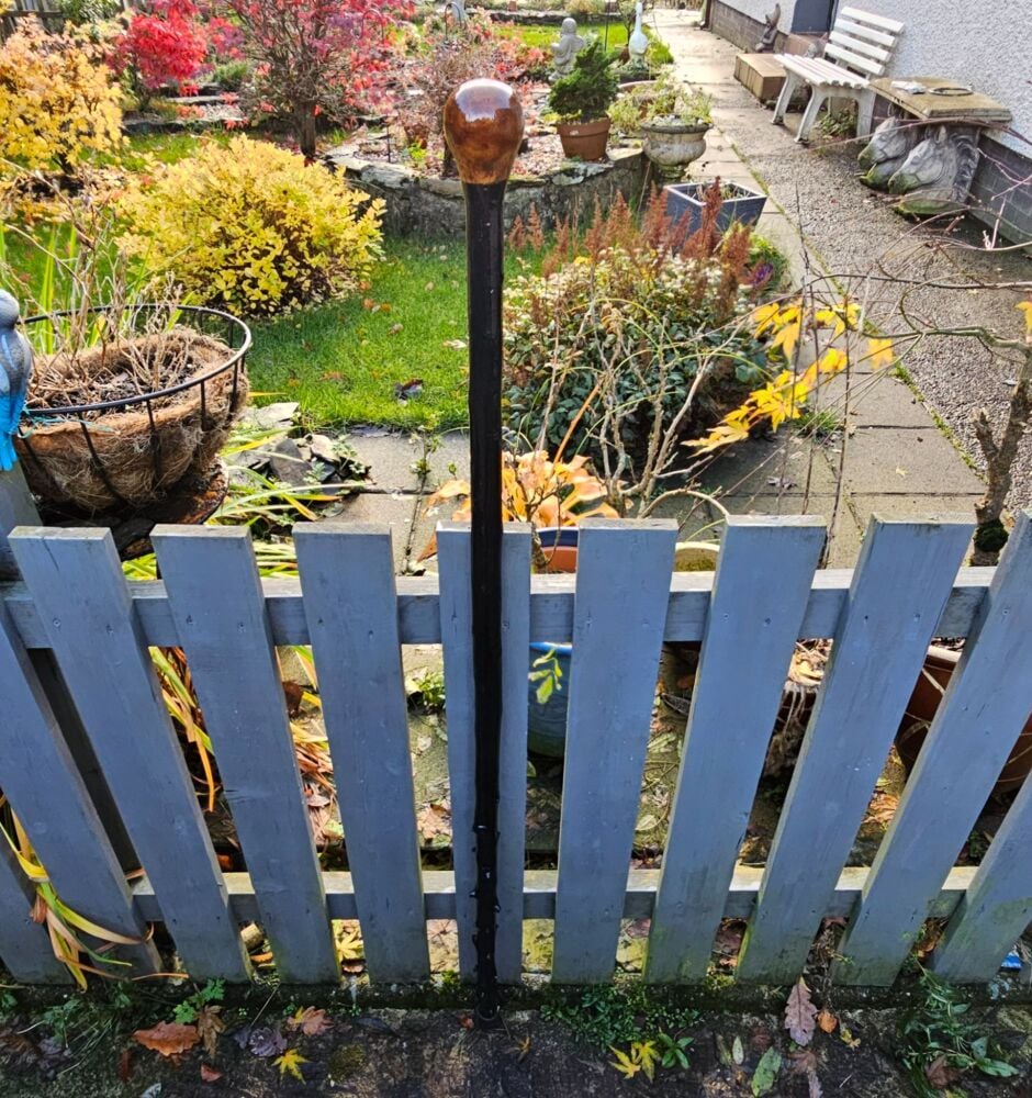 52 INCH IRISH BLACKTHORN HIKING STICK WITH A BEECH WOOD HANDLE 595EW