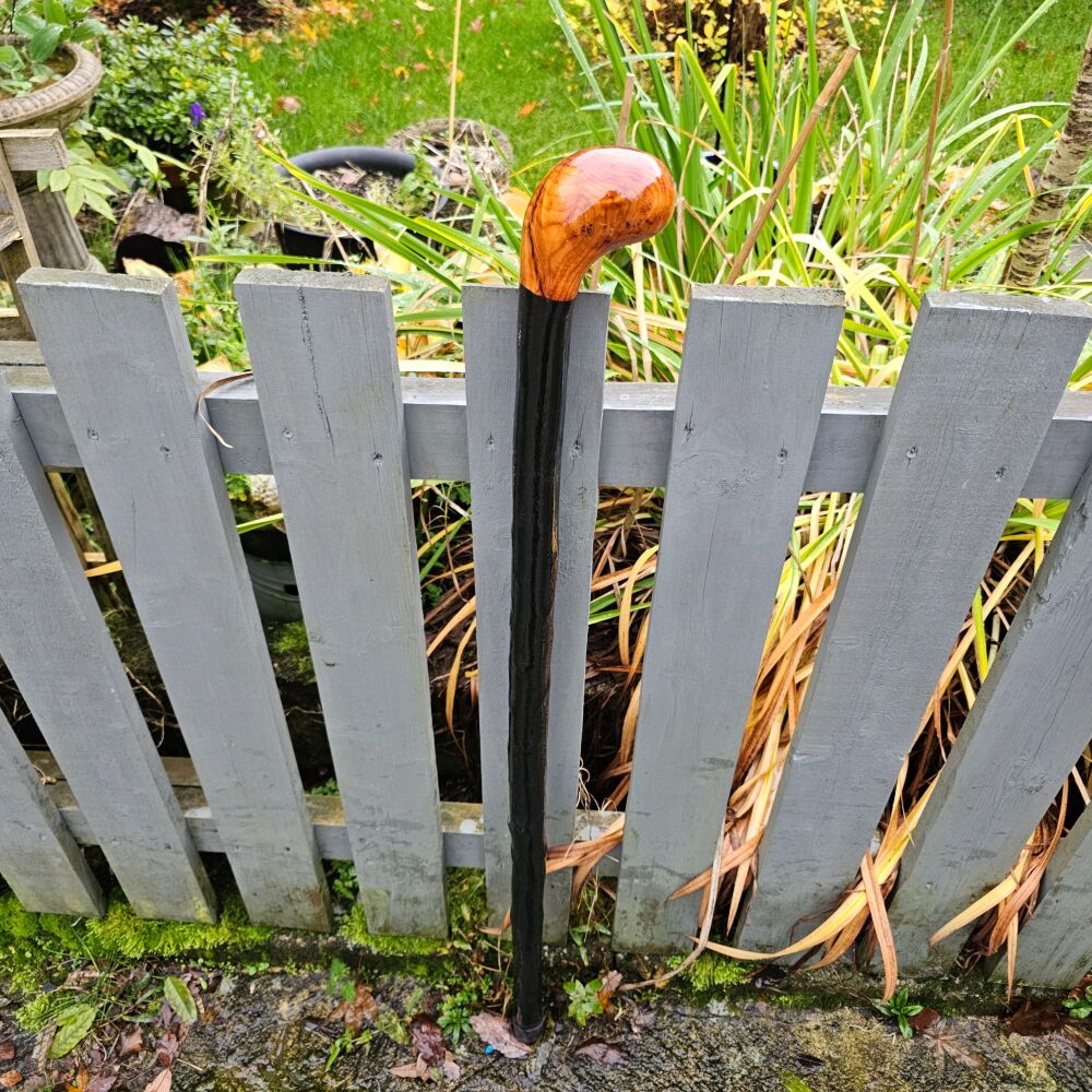 IRISH BLACKTHORN WALKING STICK WITH AN IRISH YEW HANDLE  596EW