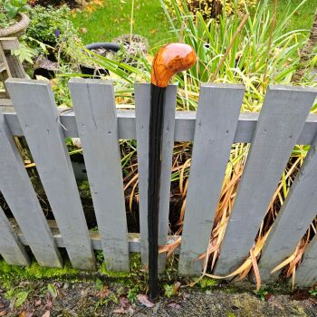 IRISH BLACKTHORN WALKING STICK WITH AN IRISH YEW HANDLE  596EW