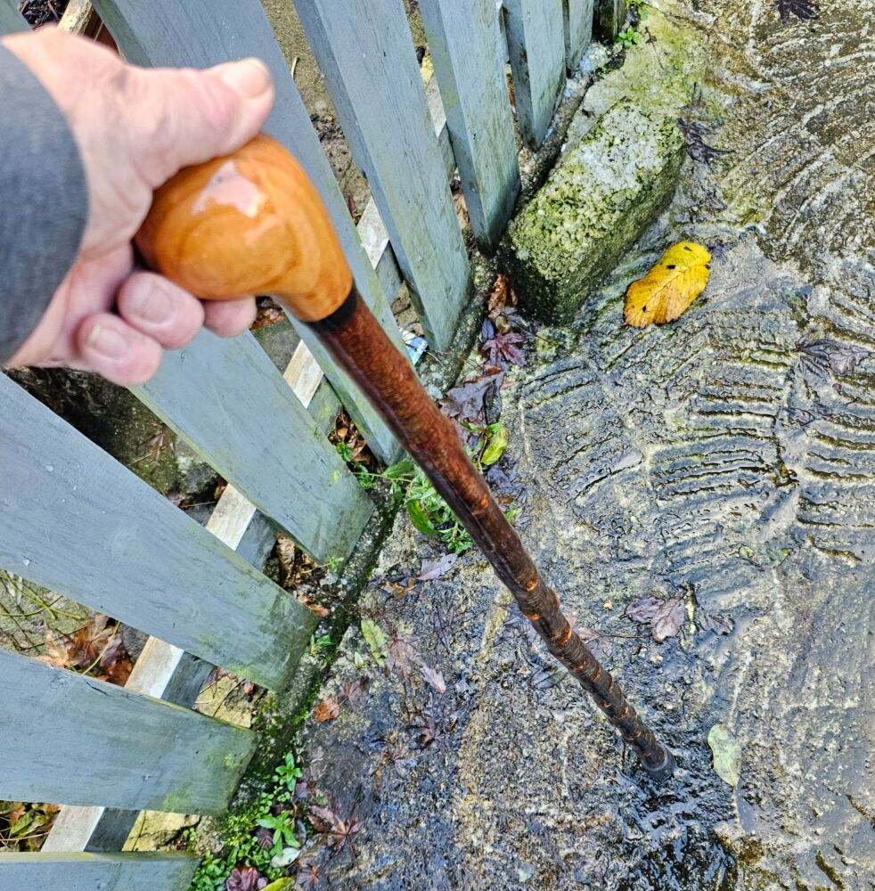 IRISH BLACKTHORN WALKING STICK WITH AN IRISH BOG OAK SPACER AND A BEECH HAN