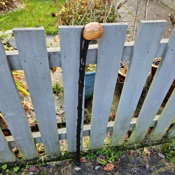 IRISH BLACKTHORN WALKING STICK WITH A CHILEAN BEECH HANDLE 38 INCHES LONG  600AL