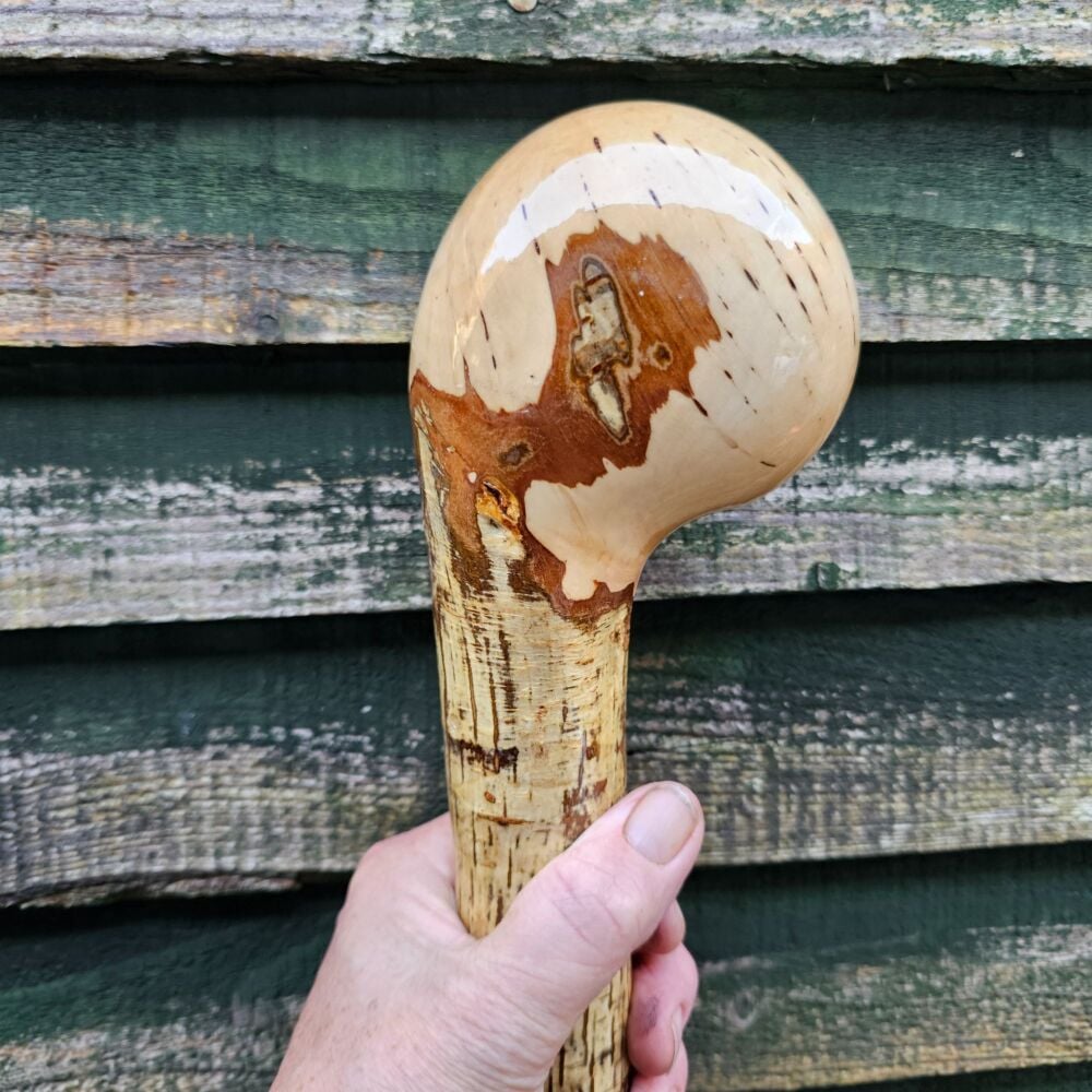 Massive IRISH HAZEL WALKING STICK 601AL