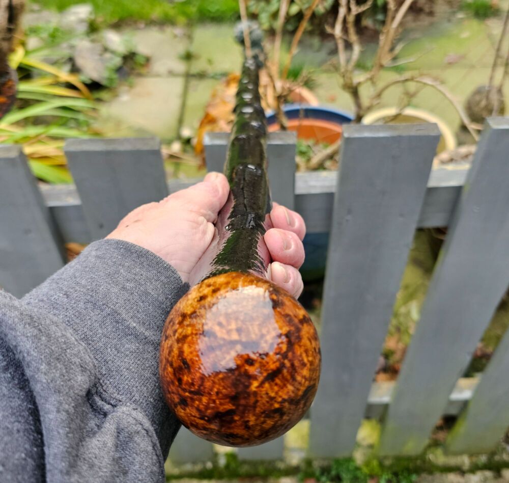 IRISH BLACKTHORN WALKING STICK WITH A BURL ELM HANDLE 603EW