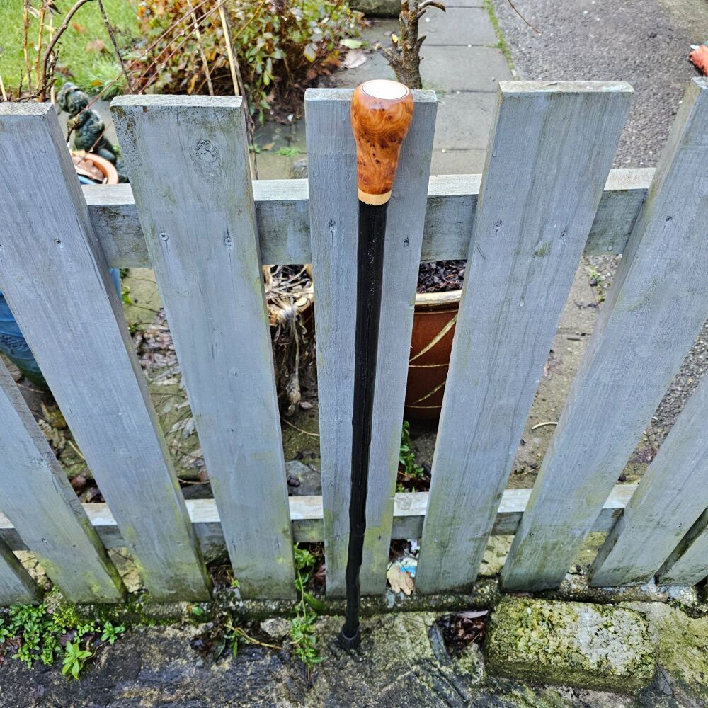 IRISH BLACKTHORN WALKING STICK WITH AN OLD IRISH PUNT COIN EMBEDDED IN A BU