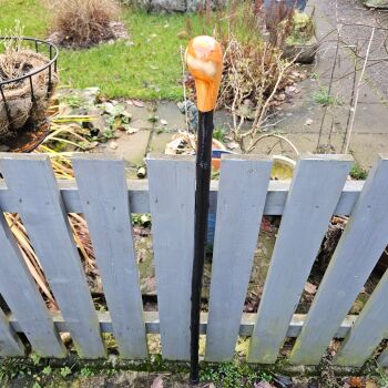 45 INCH IRISH BLACKTHORN WALKING STICK WITH AN IRISH YEW HANDLE 702EW